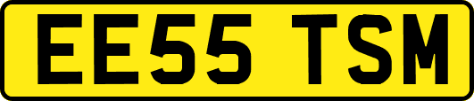 EE55TSM