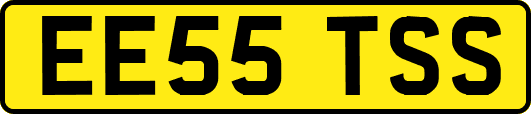 EE55TSS
