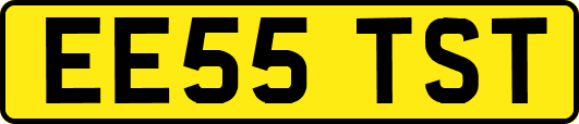 EE55TST