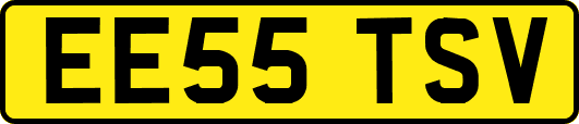 EE55TSV