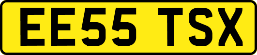 EE55TSX