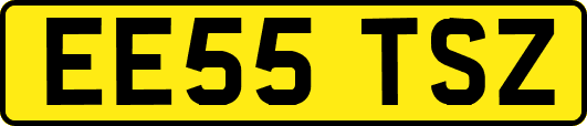 EE55TSZ