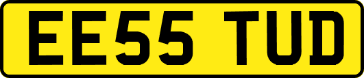EE55TUD