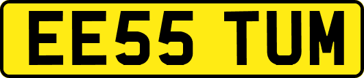 EE55TUM