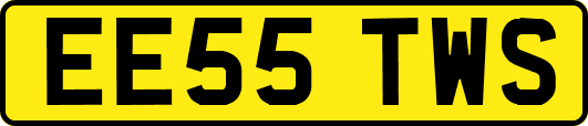EE55TWS
