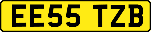 EE55TZB