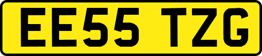 EE55TZG