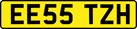 EE55TZH