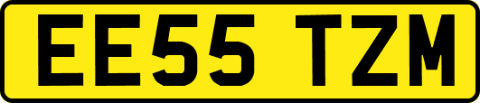 EE55TZM