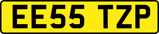 EE55TZP