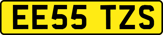EE55TZS