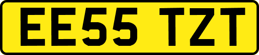 EE55TZT