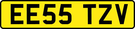 EE55TZV