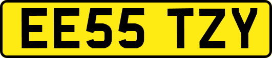 EE55TZY