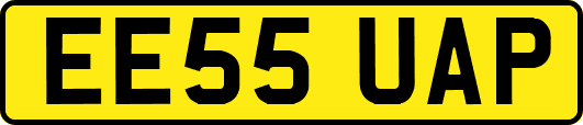 EE55UAP