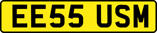 EE55USM
