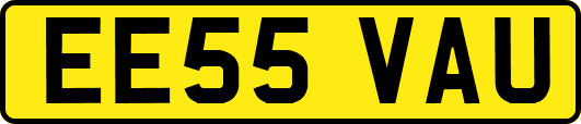 EE55VAU