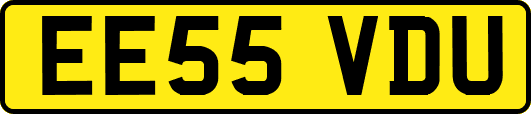 EE55VDU