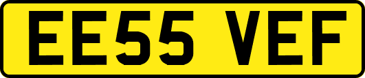 EE55VEF