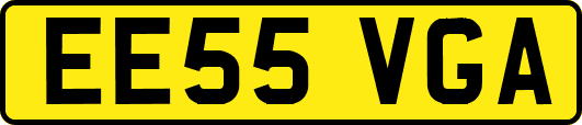 EE55VGA