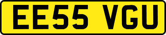 EE55VGU