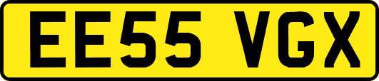 EE55VGX