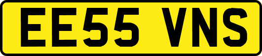 EE55VNS