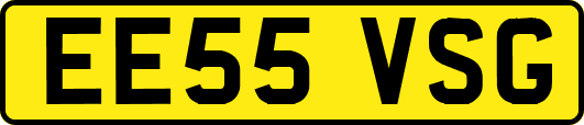 EE55VSG