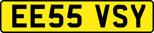 EE55VSY