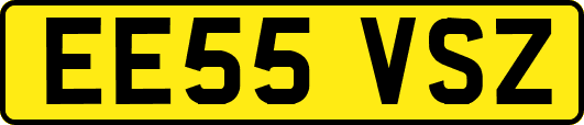 EE55VSZ