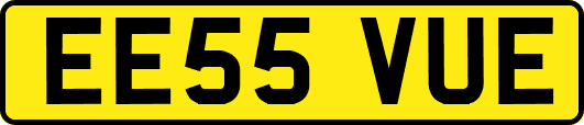 EE55VUE