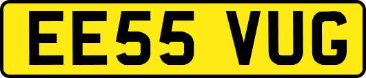 EE55VUG