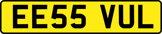 EE55VUL