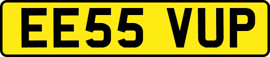 EE55VUP