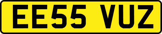 EE55VUZ