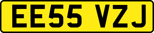 EE55VZJ