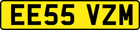 EE55VZM