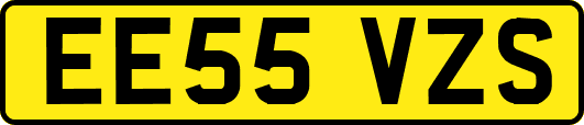 EE55VZS