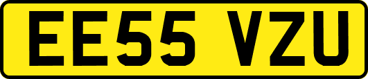 EE55VZU