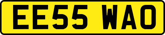 EE55WAO