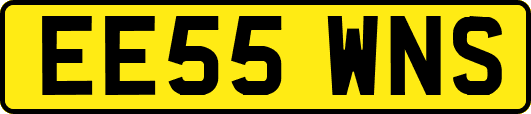 EE55WNS