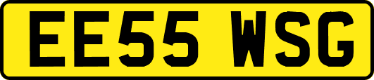 EE55WSG