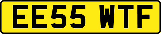 EE55WTF