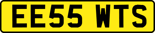EE55WTS