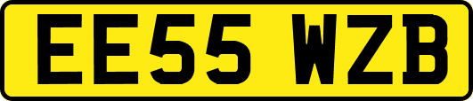 EE55WZB