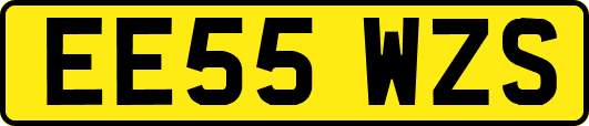EE55WZS