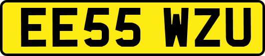EE55WZU
