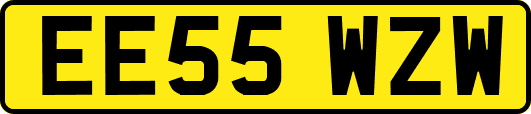 EE55WZW