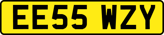 EE55WZY