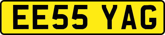 EE55YAG